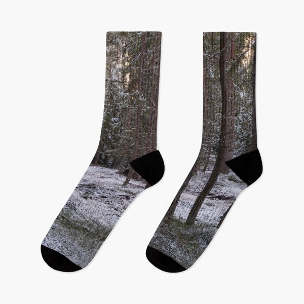 Item preview, Pines and snow in the evening designed and sold by Jouko Lehto Photography.