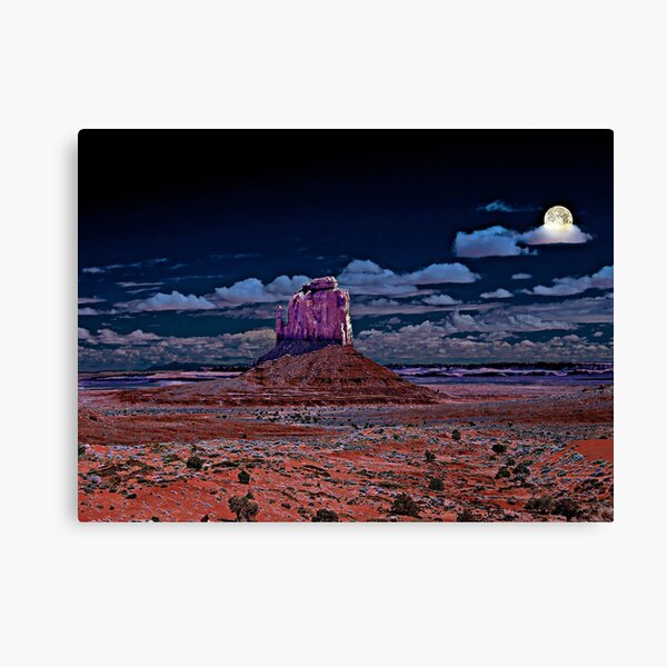 Moonlight Serenade in Arizona Canvas Print