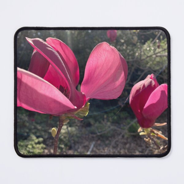 Item preview, Sunny magnolia designed and sold by agnessa38.