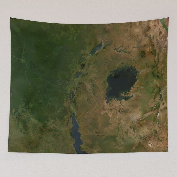 Item preview, Vast Greenery and Water Bodies from a Satellite Perspective designed and sold by CropWear.
