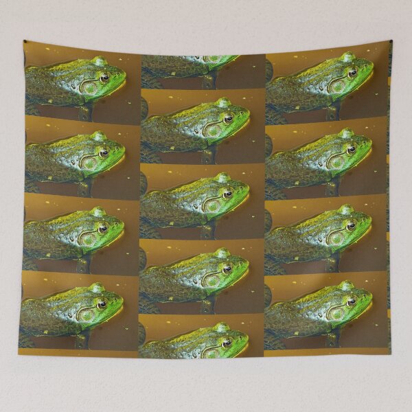 Item preview, "Pluck your magic twanger, Froggy!" designed and sold by Thaddeus Zajdowicz.