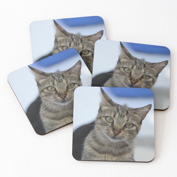 Item preview, Curious Tabby in Focus designed and sold by CamTechMar.