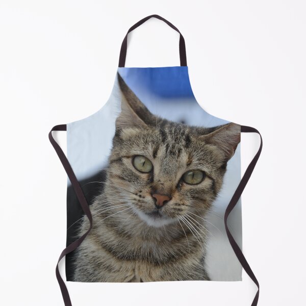 Item preview, Curious Tabby in Focus designed and sold by CamTechMar.