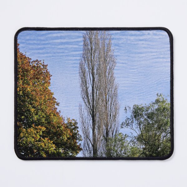 Item preview, Tall trees against a mackerel sky designed and sold by pinkal.
