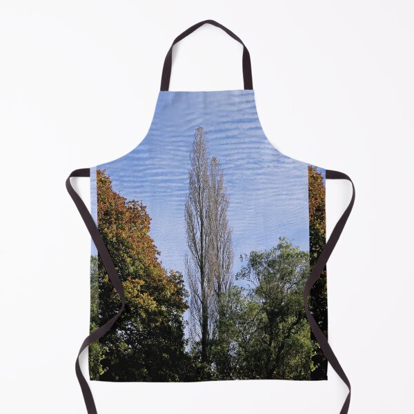 Item preview, Tall trees against a mackerel sky designed and sold by pinkal.