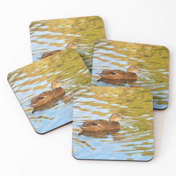 Item preview, Female Mallard Duck in Autumn Light designed and sold by Dorset Girl.