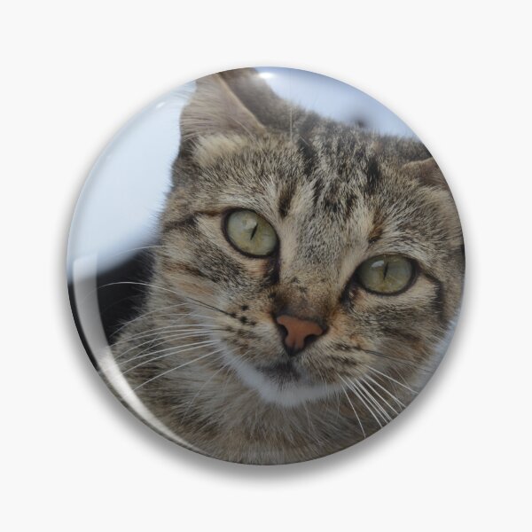 Item preview, Curious Tabby in Focus designed and sold by CamTechMar.