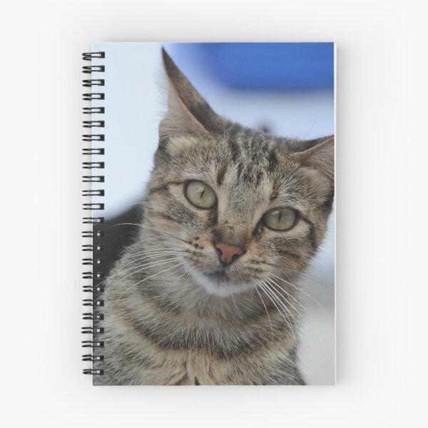 Item preview, Curious Tabby in Focus designed and sold by CamTechMar.