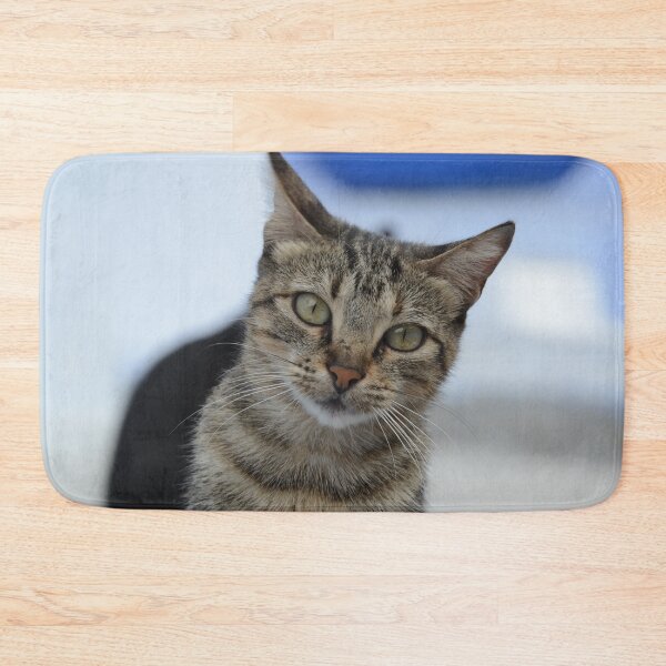 Item preview, Curious Tabby in Focus designed and sold by CamTechMar.