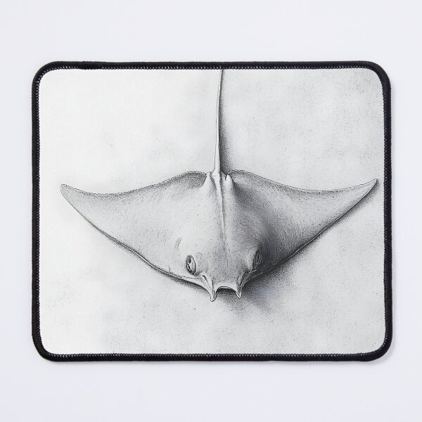Item preview, Black and White stingray Pencil Drawing designed and sold by Pencil-Art.