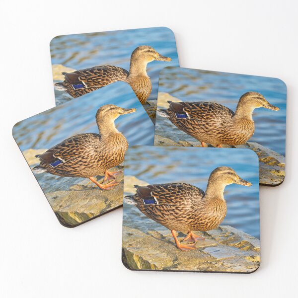 Item preview, Female Mallard Duck in Autumn Light designed and sold by Dorset Girl.