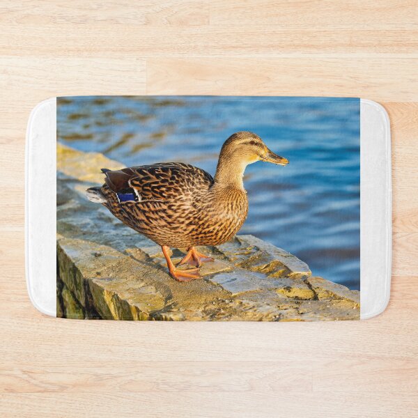 Item preview, Female Mallard Duck in Autumn Light designed and sold by Dorset Girl.