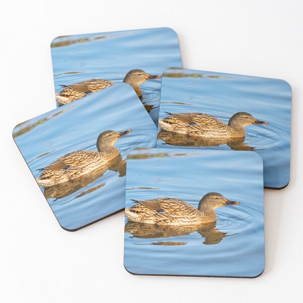 Item preview, Female Mallard Duck in Autumn Light designed and sold by Dorset Girl.