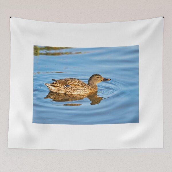 Item preview, Female Mallard Duck in Autumn Light designed and sold by Dorset Girl.