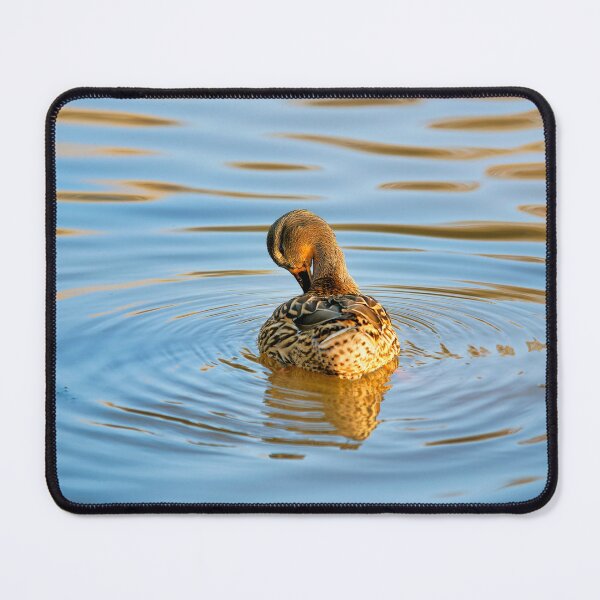Item preview, Female Mallard Duck in Autumn Light designed and sold by Dorset Girl.