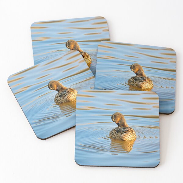 Item preview, Female Mallard Duck in Autumn Light designed and sold by Dorset Girl.