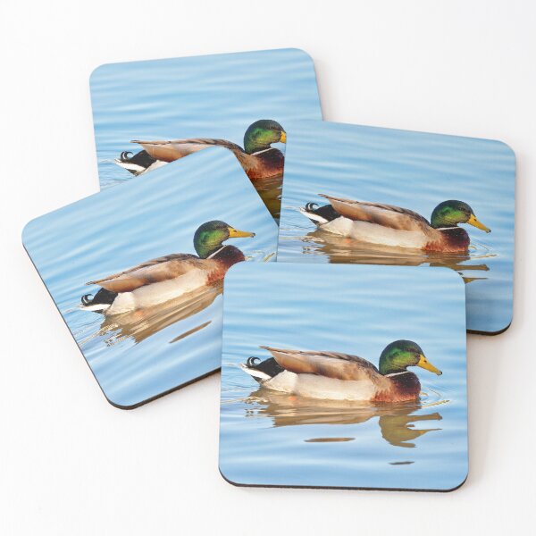 Item preview, Male Mallard Duck in Autumn Light designed and sold by Dorset Girl.