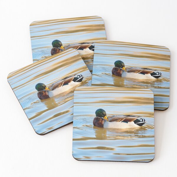 Item preview, Male Mallard Duck in Autumn Light designed and sold by Dorset Girl.