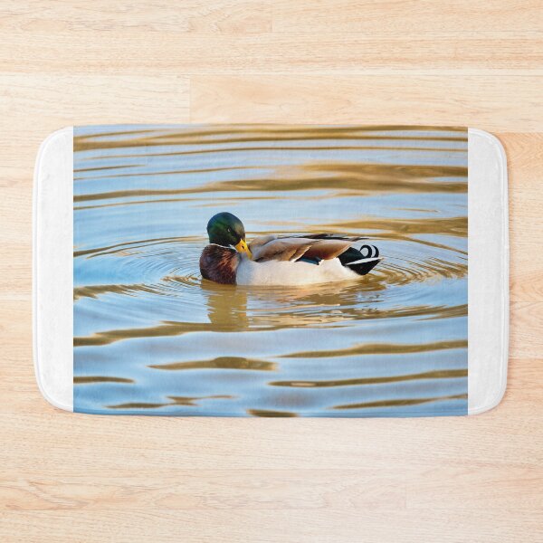 Item preview, Male Mallard Duck in Autumn Light designed and sold by Dorset Girl.