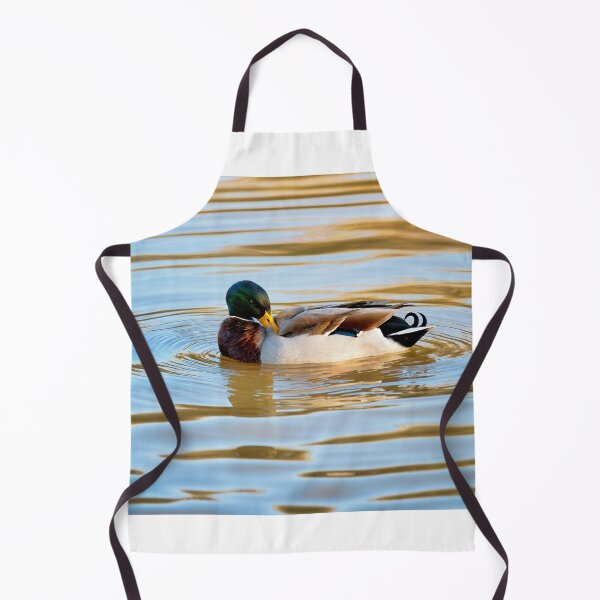 Item preview, Male Mallard Duck in Autumn Light designed and sold by Dorset Girl.