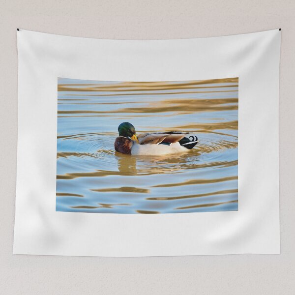 Item preview, Male Mallard Duck in Autumn Light designed and sold by Dorset Girl.