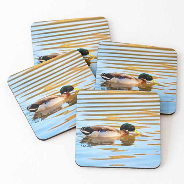 Item preview, Male Mallard Duck in Autumn Light designed and sold by Dorset Girl.