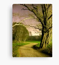 Scary trees Canvas Print