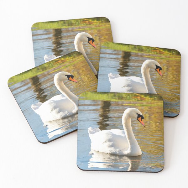Item preview, Mute Swan in Autumn Light at Chard Somerset designed and sold by Dorset Girl.