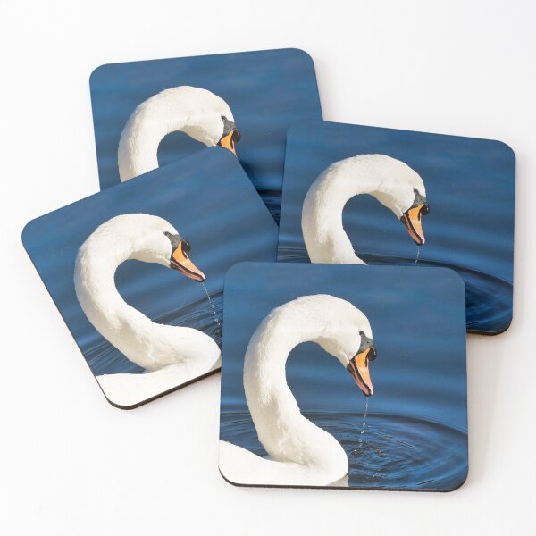 Item preview, Close-up of a mute swan with water reflections in soft late autumn light designed and sold by Dorset Girl.