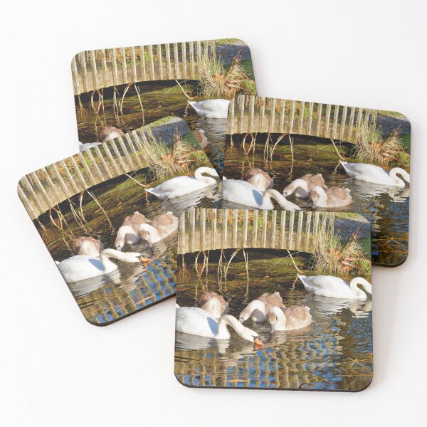 Item preview, Mute Swans and Cygnets in Soft Autumn Light designed and sold by Dorset Girl.