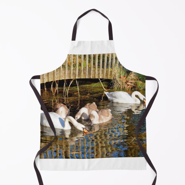 Item preview, Mute Swans and Cygnets in Soft Autumn Light designed and sold by Dorset Girl.