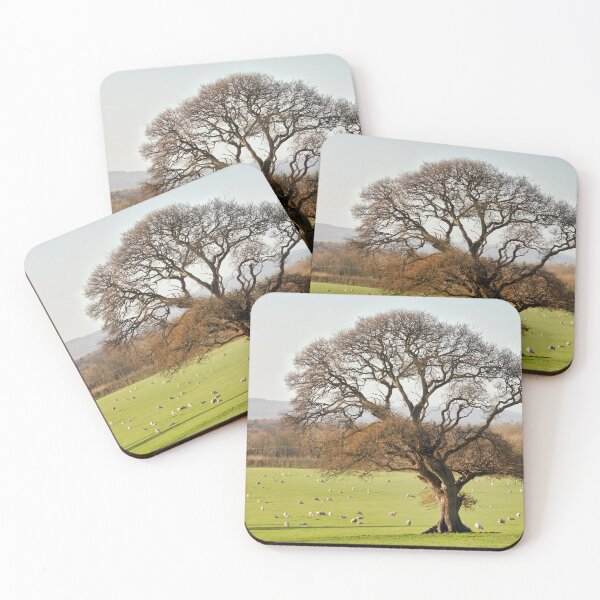 Item preview, Lone Tree in Late Autumn at Chard Somerset designed and sold by Dorset Girl.