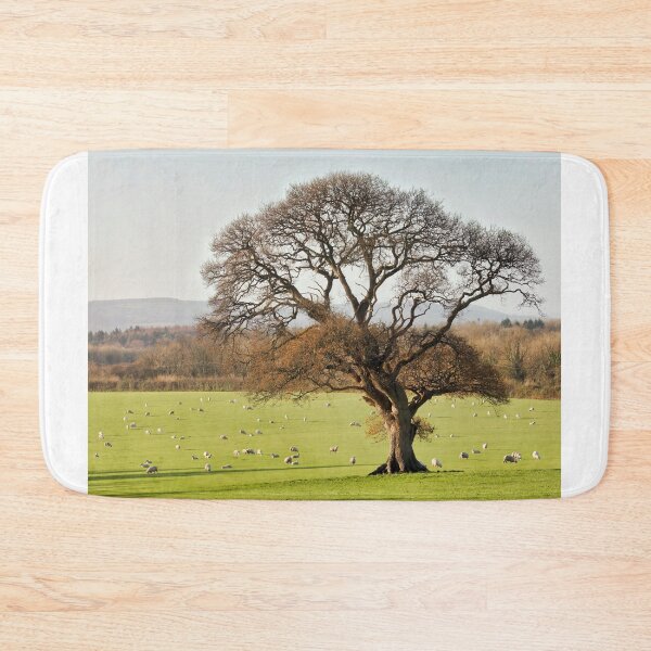 Item preview, Lone Tree in Late Autumn at Chard Somerset designed and sold by Dorset Girl.