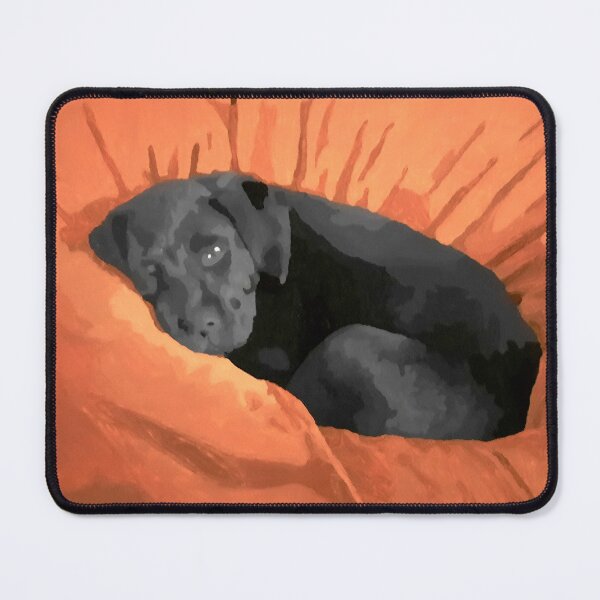 Item preview, Puppy on a Beanbag Chair designed and sold by Ísabella Ævarsdóttir.