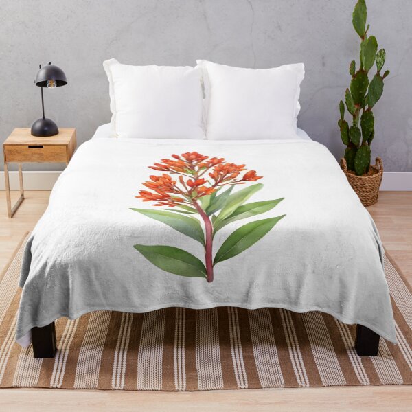 Item preview, Red Butterfly Weed (Asclepias tuberosa) designed and sold by HOMETOWN86.