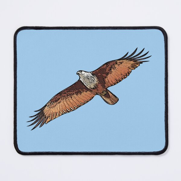 Item preview, Brahminy Kite Black Alternate Design  designed and sold by designsasstultd.
