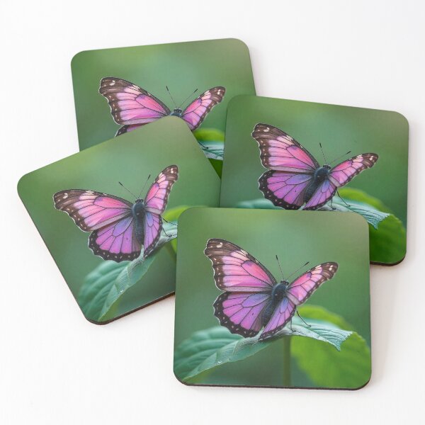 Item preview, Colorful Butterfly Vector Illustration designed and sold by hjian8219.
