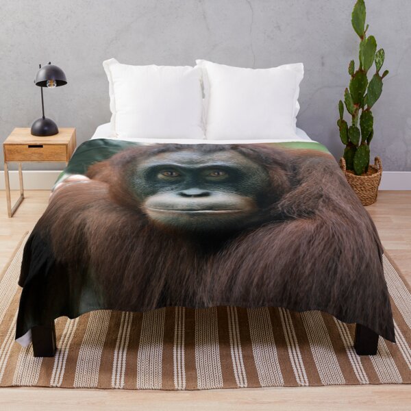 Item preview, Aurora designed and sold by Savannah Gibbs.