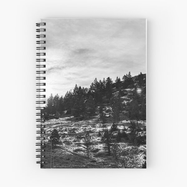 Aperçu de l'œuvre Hélène, Montana créée et vendue par Jackshop708.