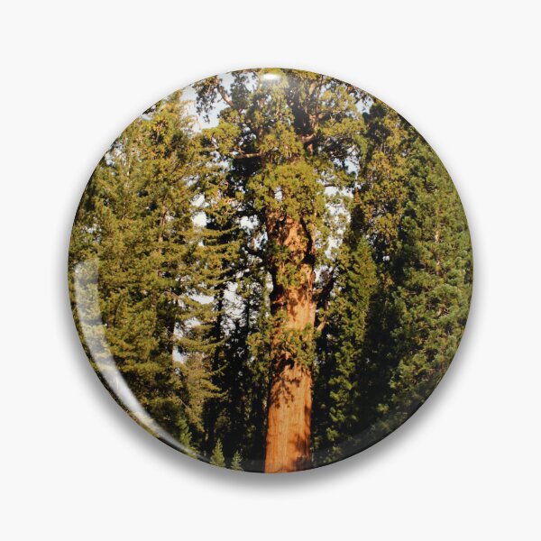 Item preview, Sequoia National Park designed and sold by supernova23.