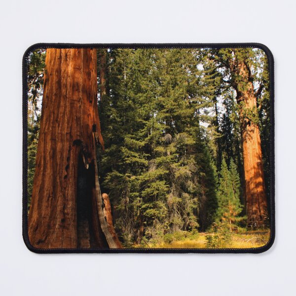 Item preview, Sequoia National Park designed and sold by supernova23.