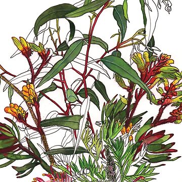Artwork thumbnail, Australian native flower arrangement by blueidesign