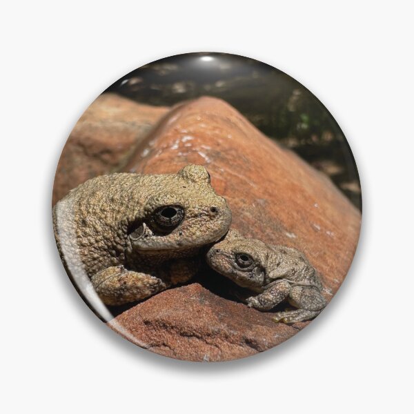 Item preview, Gilded frogs designed and sold by Kleya Wolin.