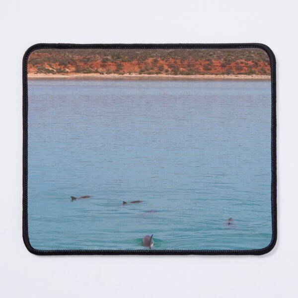 Item preview, Magical Monkey Mia Western Australia designed and sold by Nicola Morgan.