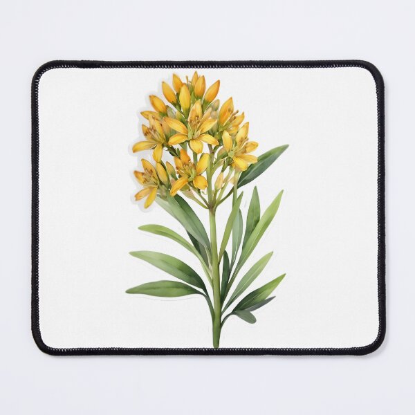Item preview, Yellow Butterfly Weed (Asclepias tuberosa) designed and sold by HOMETOWN86.