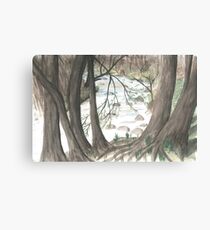 Hidden Stream Canvas Print