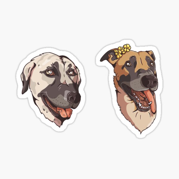 Artikel-Vorschau von Kangal & Malinois Meme, designt und verkauft von Involtino.
