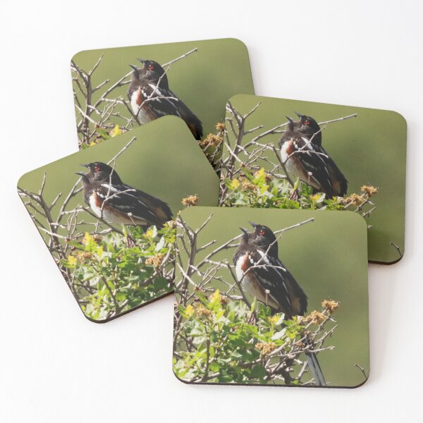 Item preview, Male Spotted Towhee designed and sold by Alyce Taylor.