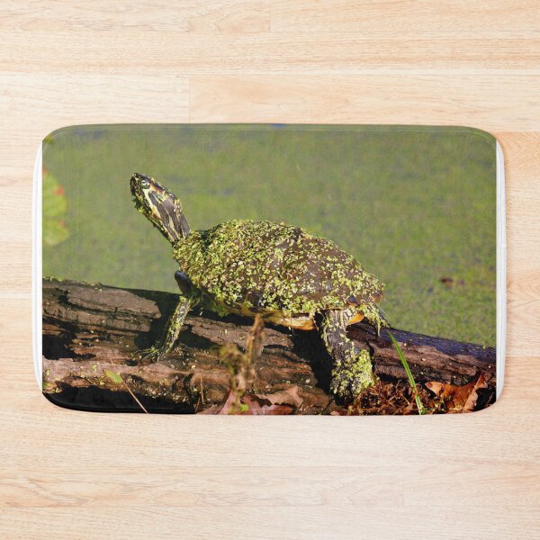Item preview, Turtle  designed and sold by Parks and X.