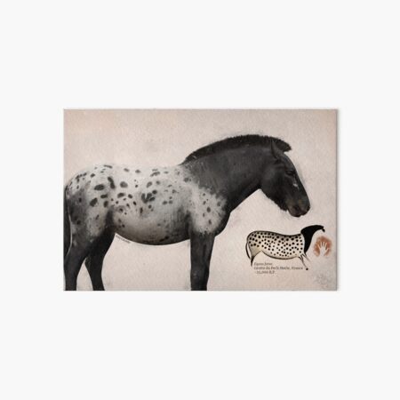 Item preview, Pech Merle Horse designed and sold by Julio Lacerda.